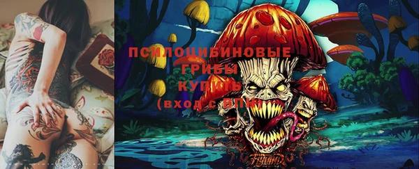 гидра Баксан