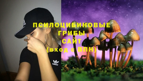 гидра Баксан