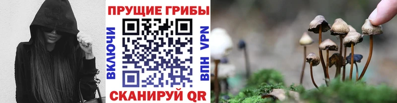 Галлюциногенные грибы Magic Shrooms  Лермонтов 